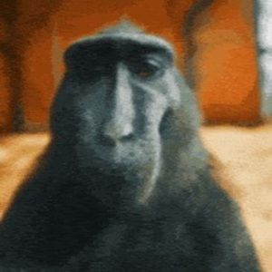 Meet your Posher, Giovanni